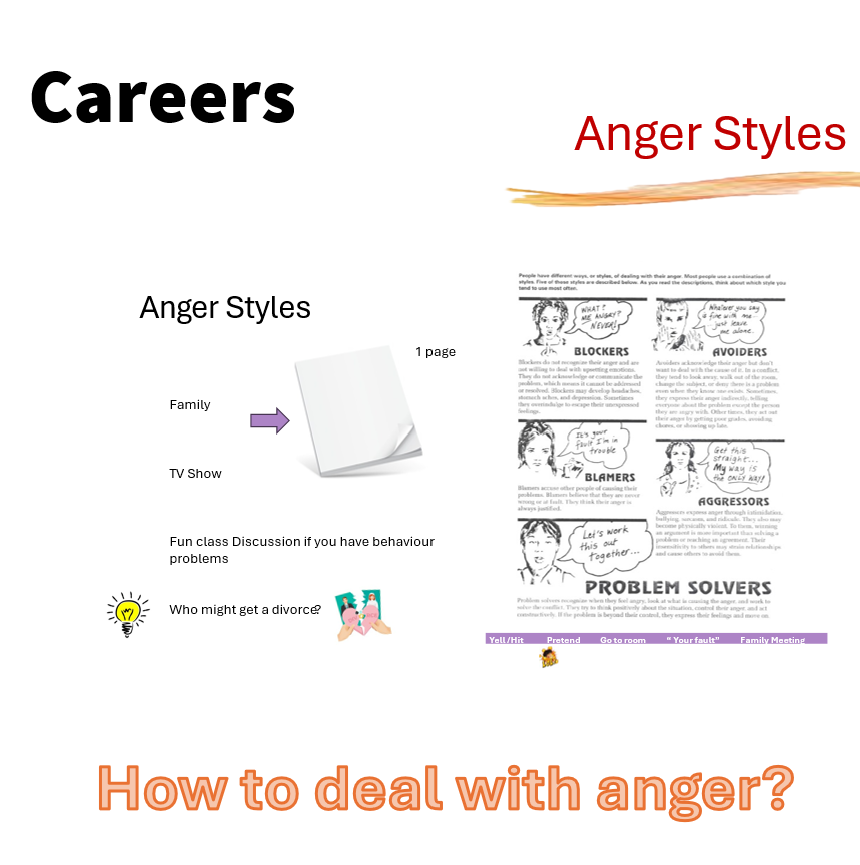 Careers Anger Styles Cover